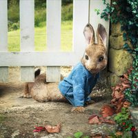 Foto de 'Peter Rabbit'