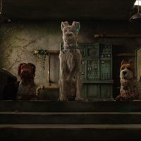 Foto de 'Isle of Dogs'