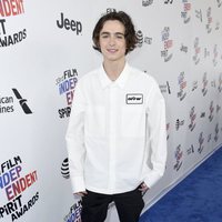 Timothee Chalamet at the Spirit Awards 2018