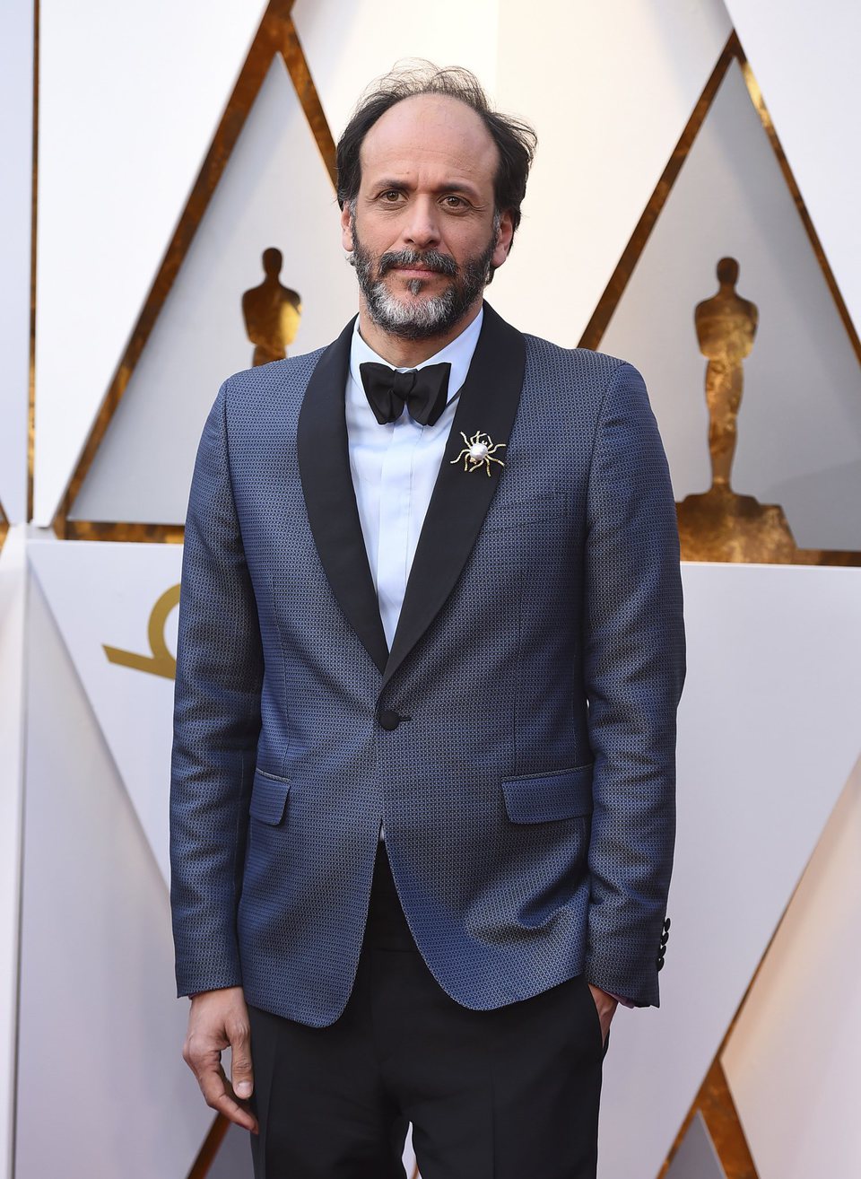 Luca Guadagnino at the Oscars 2018 red carpet