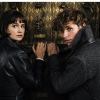 Foto de 'Fantastic Beasts: The Crimes of Grindelwald'