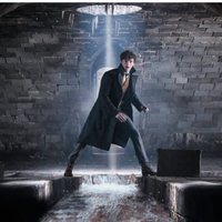 Foto de 'Fantastic Beasts: The Crimes of Grindelwald'