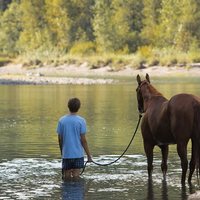 Foto de 'Lean on Pete'