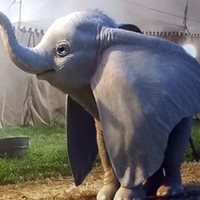 Foto de 'Dumbo'