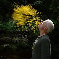 Leaning Into the Wind: Andy Goldsworthy