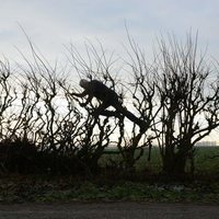 Leaning Into the Wind: Andy Goldsworthy