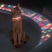 Foto de 'The Cat from Outer Space'