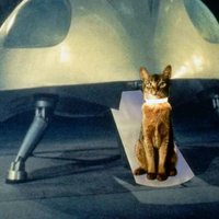 Foto de 'The Cat from Outer Space'