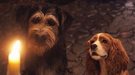 Disney's Live-Action 'Lady and the Tramp': Visually Captivating, But Failures to Capture the Magic and Charm of the Original