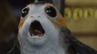 'Star Wars: The Last Jedi': Everything you need to know about the Porgs