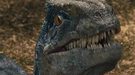 See the cute velociraptors in 'Jurassic World: Fallen Kingdom' teaser