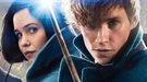 Fantastic Beasts (and Where to Find the Gossip)