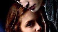 Stephenie Meyer's Dream Cast and Other Curiosities about 'Twilight'