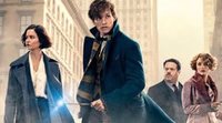 Rowling Promises Answers in 'Fantastic Beasts 3'