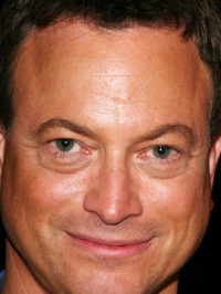  Gary Sinise