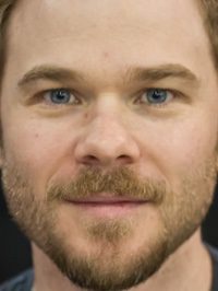  Shawn Ashmore