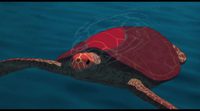 'The Red Turtle' French Original Trailer