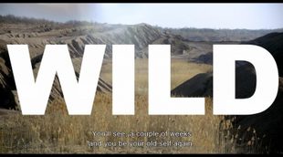 Trailer 'Wild' (english subtitles)