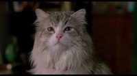 'Nine Lives' 2016 Official Trailer