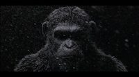 'The War for the Planet of the Apes' teaser trailer