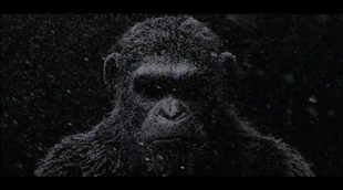 'The War for the Planet of the Apes' teaser trailer