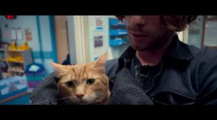 'A Street Cat Named Bob' Trailer