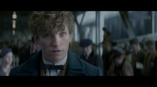 'Fantastic Beasts and Where to Find Them' Clip: Welcome to New York