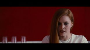 'Nocturnal animals' Clip #1