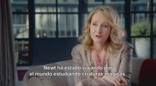 'Fantastic Beasts and Where to Find Them': J.K.Rowling Interview