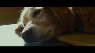 'A Dog's Purpose' trailer #2