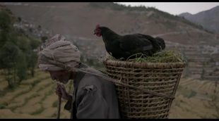 'The Black Hen (Kalo Pothi)' trailer sub english