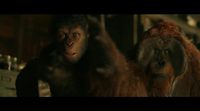 Trailer #3 for 'War For Planet Of The Apes' in English