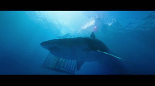 '47 metres down' Clip