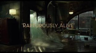 Promo clip 'The Shape of Water'