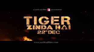 Spot 'Wolves' 'Tiger Zinda Hai'