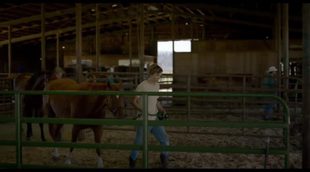 Trailer 'Lean on Pete'