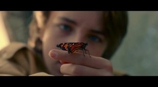 'The Butterfly Tree' Trailer