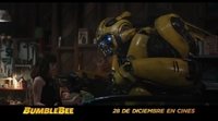 Spanish spot 'Bumblebee'