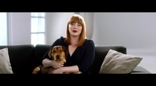 'A Dog's Way Home' Spot: "Finding Bella"