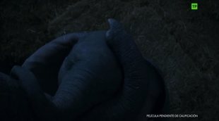 'Dumbo' Spanish Subtitled Trailer