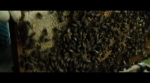 'Tell It To The Bees' Official trailer