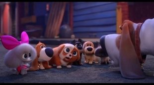 'The Secret Life of Pets' trailer