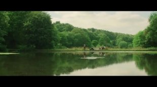 'Pond Life' trailer