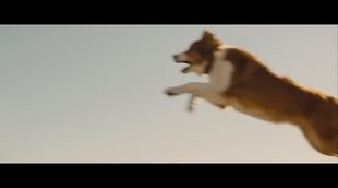 'A Dog's Journey' Trailer