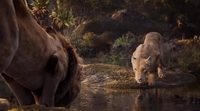 'The Lion King' Spot: Nala