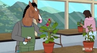 'BoJack Horseman' Season 6 Trailer