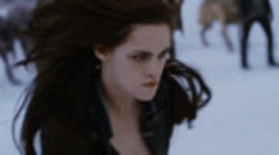 Spot Marathon 'Twilight Saga'