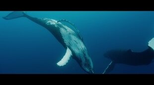 'Les Gardiennes de la planète' trailer