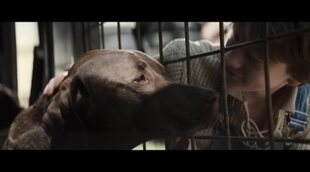 'Dogman' trailer (2023)