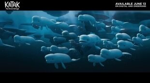 'Katak: The Brave Beluga' trailer